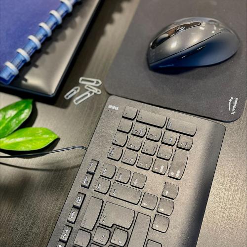 Schwarze Tastatur und ergonomische Maus auf einem Schreibtisch mit blauem Notizbuch, Pflanzenblatt und Büroklammern