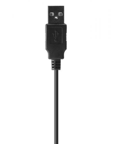 Nahaufnahme eines schwarzen USB-Kabels mit Standardstecker